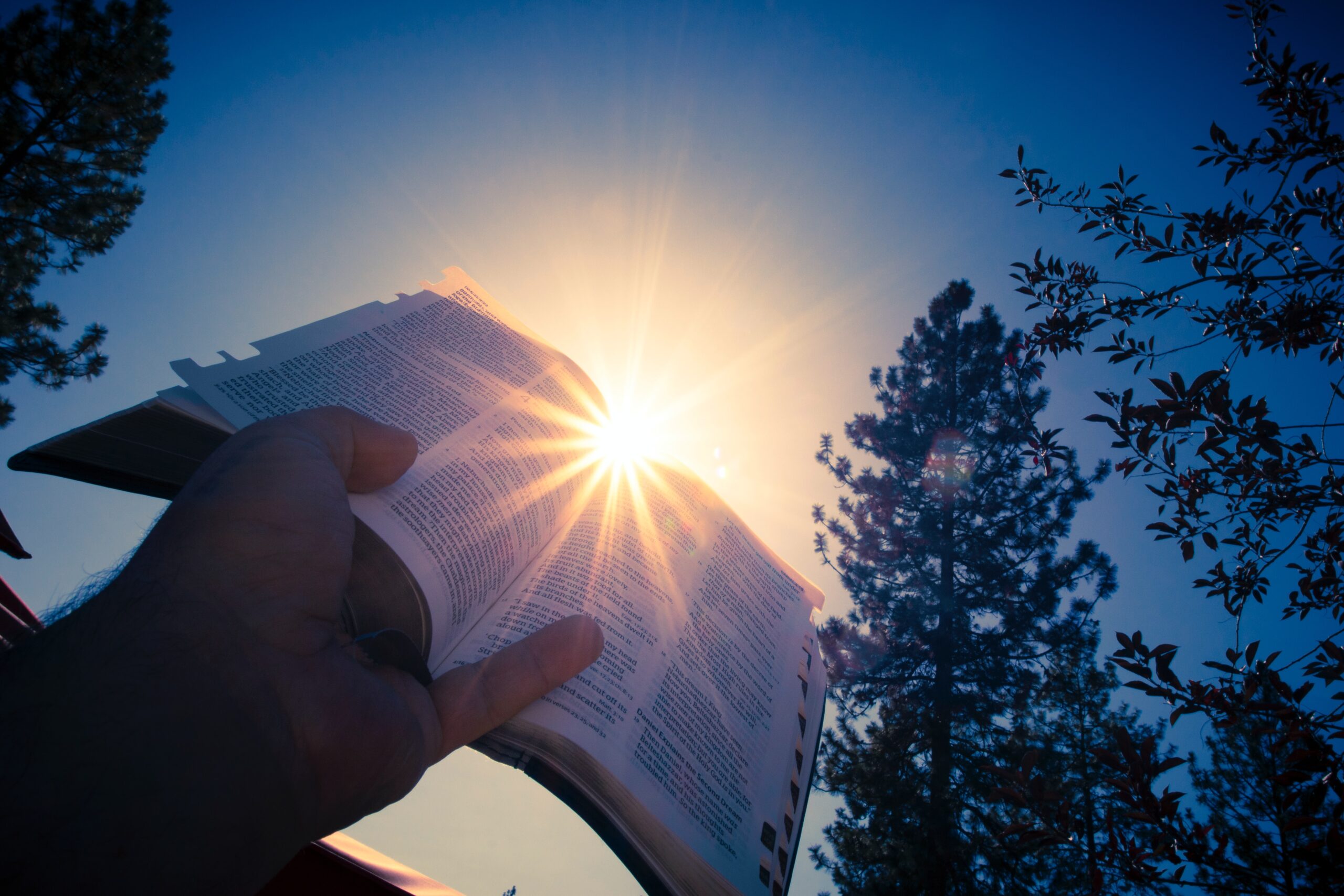 Hand holding an open Bible up to the sky with sunlight behind